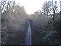 Watercress Line Cutting