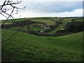 South Hams countryside