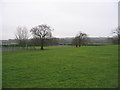 Playing fields with oaks by River Roding