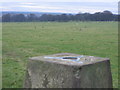 Triangulation Pillar at Tripsy Bank