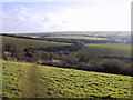 Farmland  at North Bolberry