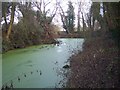 The Hereford to Gloucester Canal