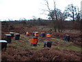 SY9584 : Bee Hives on Middlebere Heath by David Squire