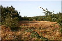 NY3722 : Red Moss, Cockley Moor by Bob Jenkins