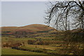 Gowbarrow Fell from Dowthwaitehead Lane