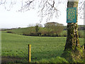 Roscavey Townland