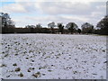 Arable field in snow