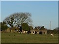 The Ruins of Cae-Gwen-Owen, Llangadwaladr.