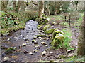 Stream between Trereife and Trewidden