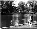 TL0551 : Bedford Park Lake by RichTea