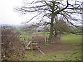 Wood Farm near Everdon