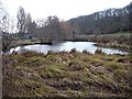 Boxley mill pond