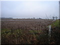 Farmland near Yarnhams Farm