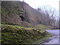 Quarry arches, Cunning Dale