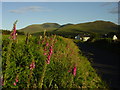 The Mourne Mountains as seen from Planting Road near Kilcoo