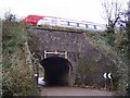 Railway at Stoneycombe - South Devon