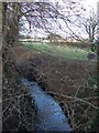 Bents Brook near Inholms Farm