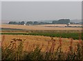 Farmland by St Monans