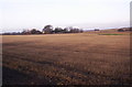 Farmland, Netherton