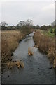 River Pont at Coat Hill