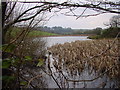 Moorthwaite Lough