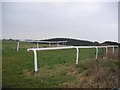 NT4812 : Hawick Racecourse. by Richard Webb