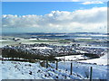 Balmullo from Lucklawhill