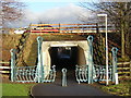 Tunnel Under M74