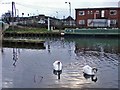 River Lea at Rye House