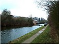 Canal, Wharf, Warehouses and Narrowboats, New Ground