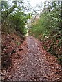 Sunken footpath, Redhill Common