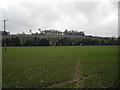 Footpath across field, south of Chalkvale