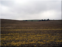 SU4032 : Stubble and downs east of Up Somborne by Peter Jordan