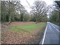 Holmwood Common, from Mill Lane