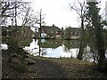 The Pond near Holmwood Station