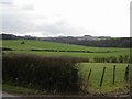 Farmland at Avington Manor Farm