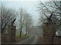 Golden eagles guard the gate