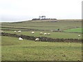 SK2157 : Minninglow Hill. by Mike Fowkes