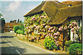 Wistaria-clad Old Forge Cottage in East Clandon