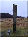 SN9115 : Maen Madoc standing stone. by Stephen Charles