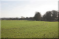 Looking across farmland towards West Tisted