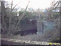 SJ4912 : Old Rail Bridge Crossing The Rea Brook by Mr M Evison