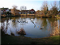 Village pond, Westham