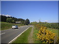 North Deeside Road near Easter Anguston