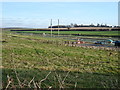 Watercress beds near Alresford