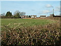 Chalbury Common, Dorset