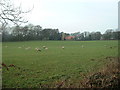 Farmland near All Saints Church