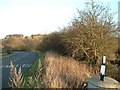 Hidden lane, near Baddesley Ensor