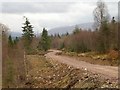 New forestry road in Glen Aray