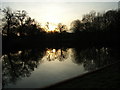 Prince Consort Pond, Windsor Great Park